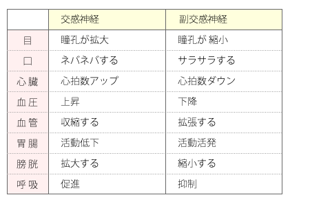 交感神経と副交感神経の違い